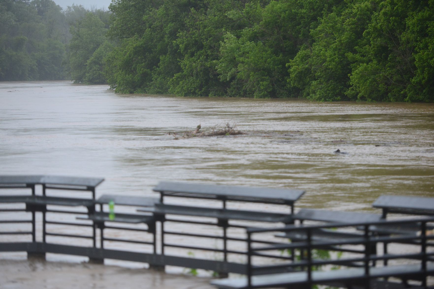Flood 4.jpg